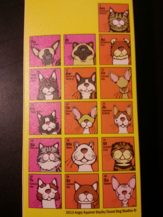 Illustration for article titled I just bought this ridiculous pencil case from Walmart*